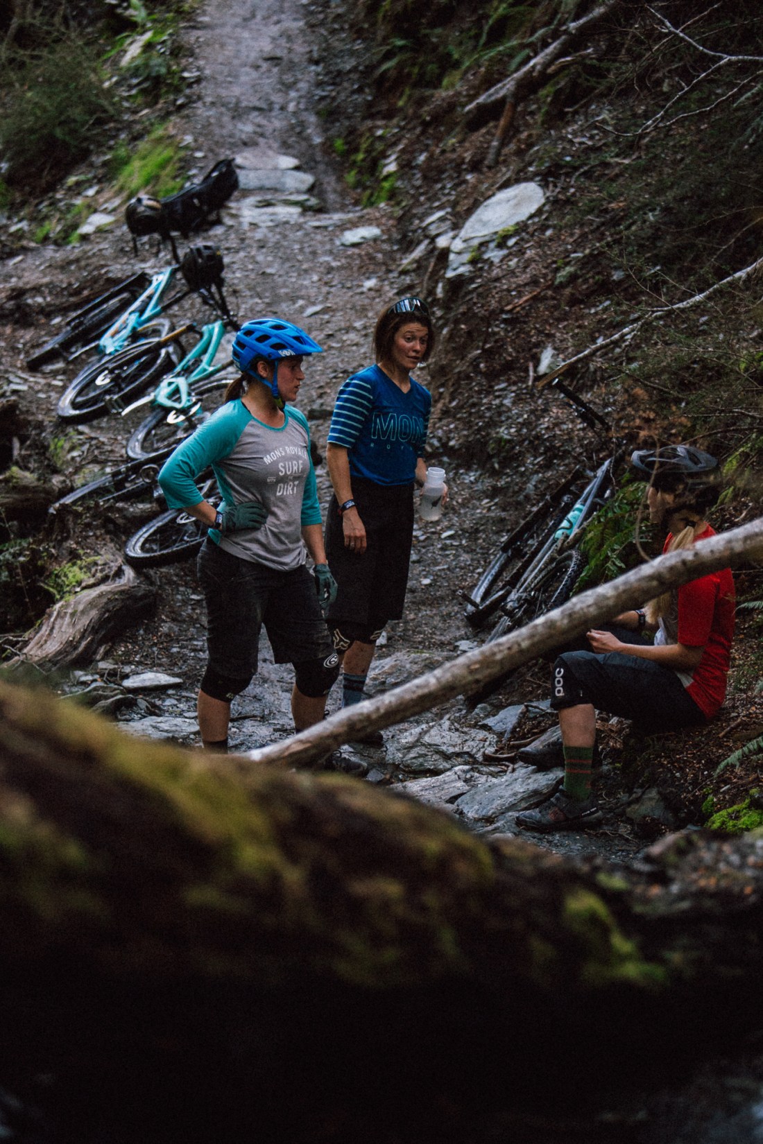 beached as mons 11-11-15