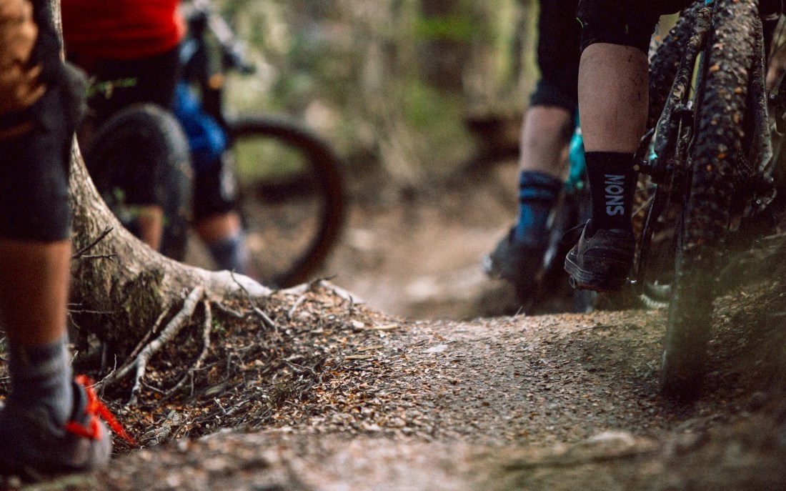 beached as mons 11-11-21