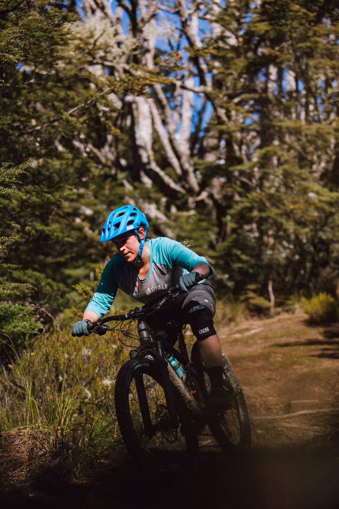 beached as mons 11-11-5